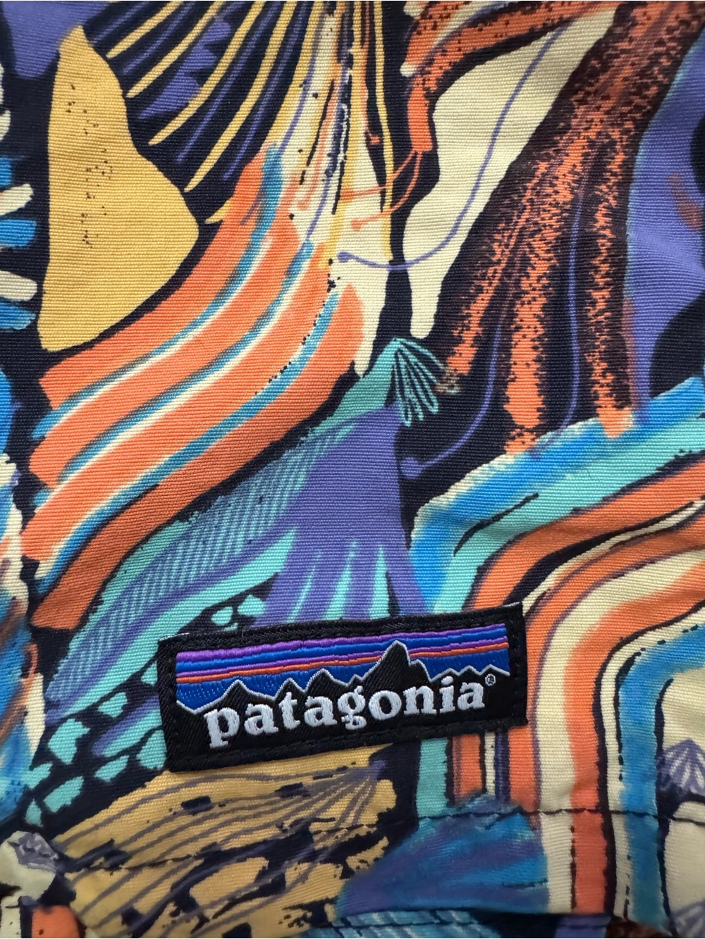 Patagonia Baggies Women’s Shorts - Picture 5 of 5